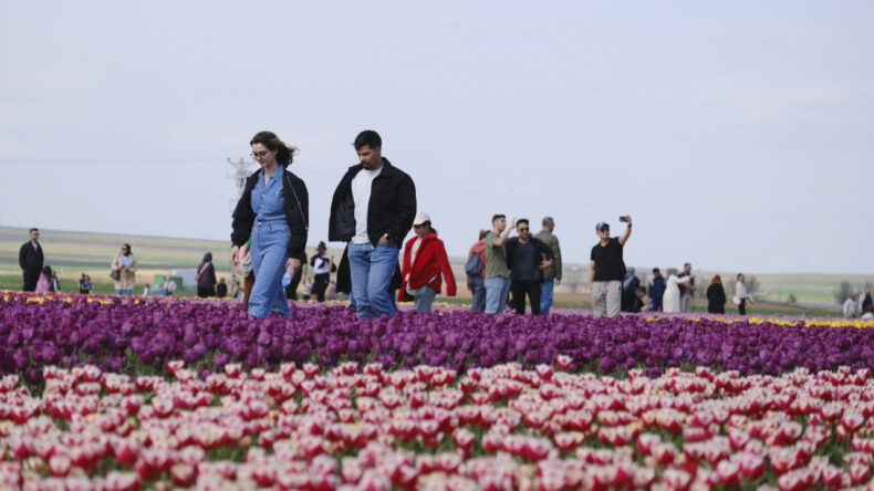 Fotoğraf tutkunlarının g&ouml;zdesi oldu: 400 bin kişi ziyaret etti