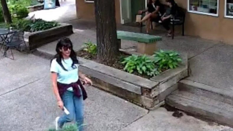 Gizem b&uuml;y&uuml;yor: Bilim insanları kayboluyor ya da &ouml;l&uuml;yor