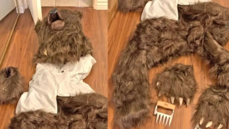 G&ouml;r&uuml;lmemiş dolandırıcılık: Ayı kost&uuml;m&uuml;yle l&uuml;ks ara&ccedil;lara saldırdılar