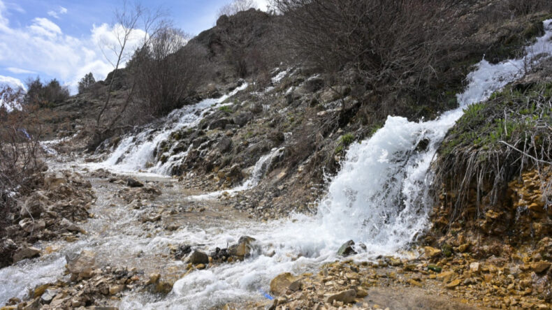 Gümüşhane’de nadir doğa olayı: Aynı anda başlayıp aynı anda duruyorlar