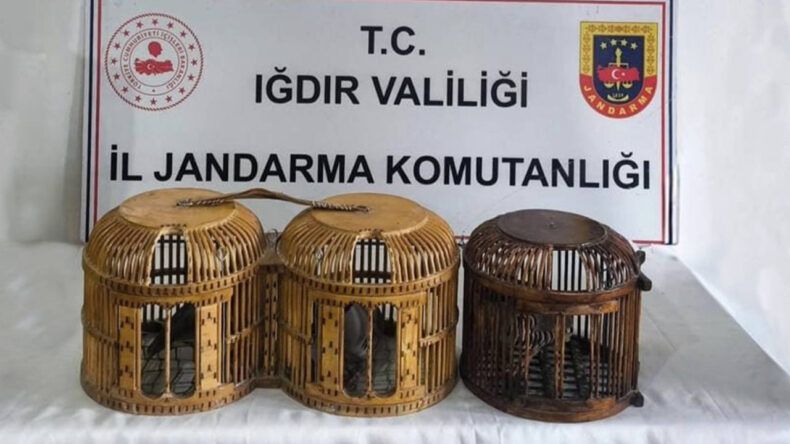Iğdır&rsquo;da Ka&ccedil;ak Keklik Avlayan 3 Kişiye 72 Bin TL Ceza