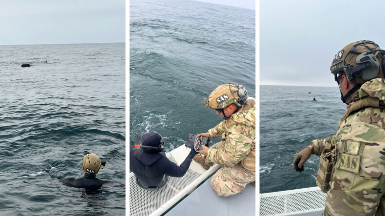 İğneada’da Mayın Tespit Edildi