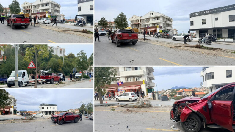 İki ağaç ve elektrik direğini yerinden söktükten sonra durabildi