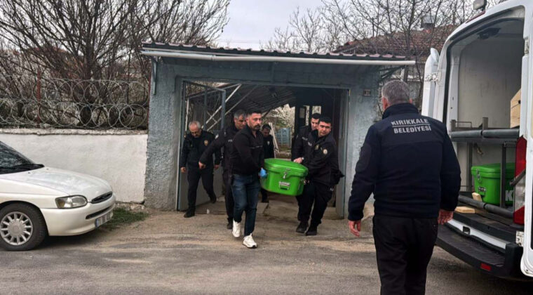 İki Kardeş, Babalarını Katletti