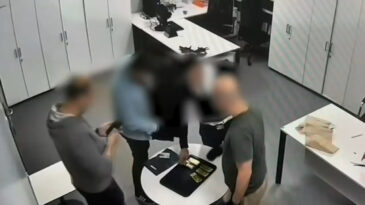 Interpol'&uuml;n aradığı altın ka&ccedil;ak&ccedil;ısı İstanbul'da yakalandı