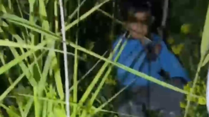 Kayalıklarda mahsur kalan 2 k&uuml;&ccedil;&uuml;k kardeş kurtarıldı