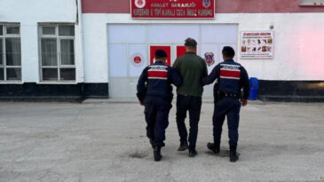 K&ouml;peğe Ateş A&ccedil;tı, Tutuklandı