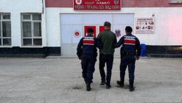 K&ouml;peğe Ateş A&ccedil;tı, Tutuklandı