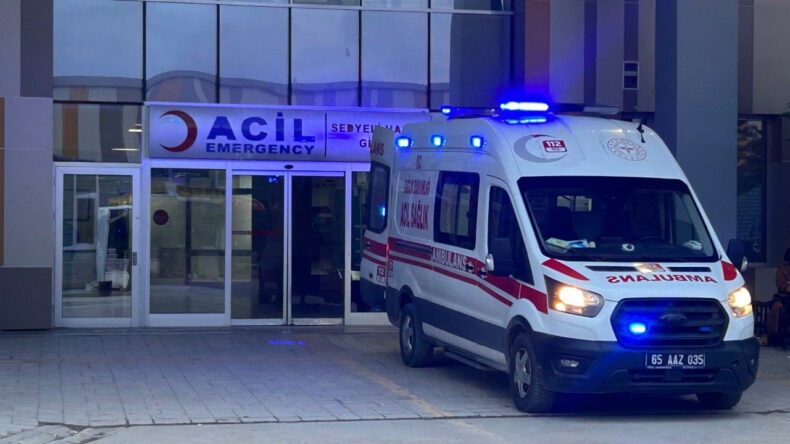 K&ouml;peklerin saldırdığı 5 yaşındaki &ccedil;ocuk hayatını kaybetti