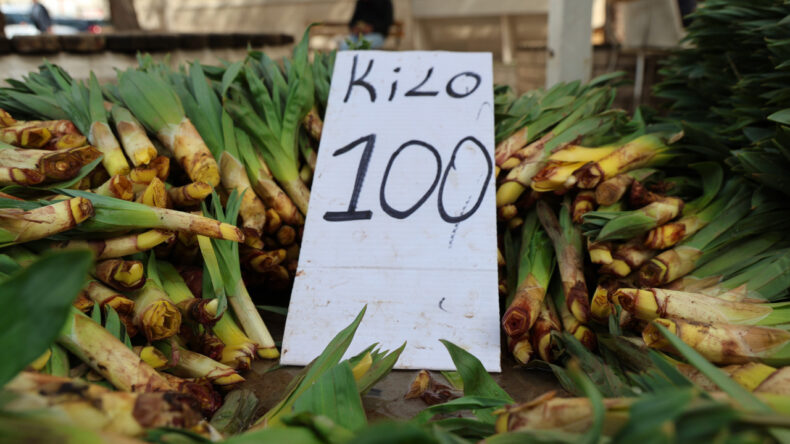 &ldquo;Doğal antibiyotik&rdquo; dağda kendiliğinde yetişiyor: Kilosunu 100 liraya satıyorlar
