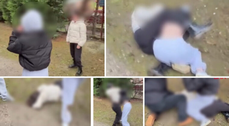 Liseli Kızlar Parkta Kavga Etti