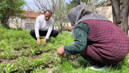 Litresi 5 bin euro: 200 bin ile başladı, 450 bine ulaştı