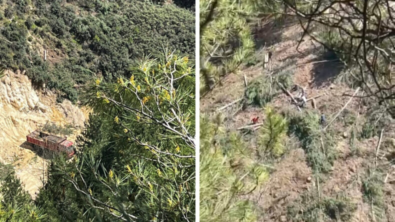 Maden Aramak i&ccedil;in 754 Ağacı Kesecekler