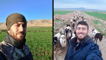 Mardin'de &ccedil;obana infaz