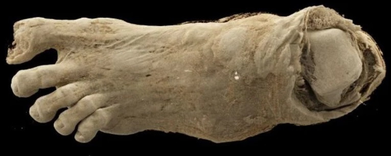 Mumya paketi içeriği