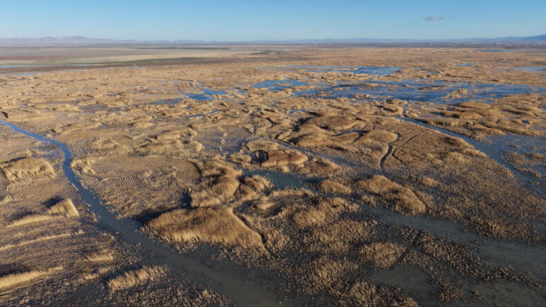 Nasreddin Hoca'nın maya &ccedil;aldığı g&ouml;lde yıllar sonra bir ilk yaşandı