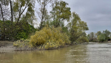 Nehre d&uuml;şen &ccedil;ocuktan 10 g&uuml;nd&uuml;r iz yok
