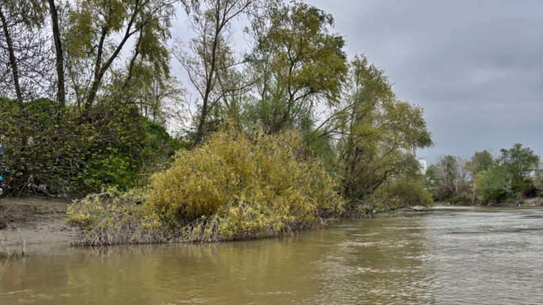Nehre d&uuml;şen &ccedil;ocuktan 7 g&uuml;nd&uuml;r iz yok