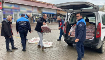 Ordu&rsquo;da 200 Kilo Ka&ccedil;ak Ete El Konuldu