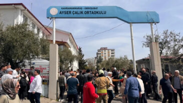 Prof. Dr. Ayten Zara: Cezasızlık algısı şiddeti besliyor