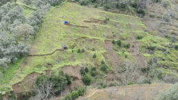Sağanak sonrası heyelan: Yol kapandı, tarım arazileri zarar g&ouml;rd&uuml;