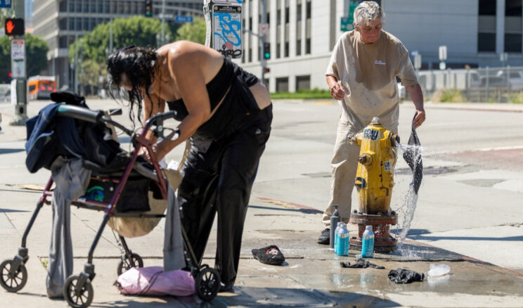 Sıcak hava dalgası, hayatta kalmayı imkansız hale getirecek