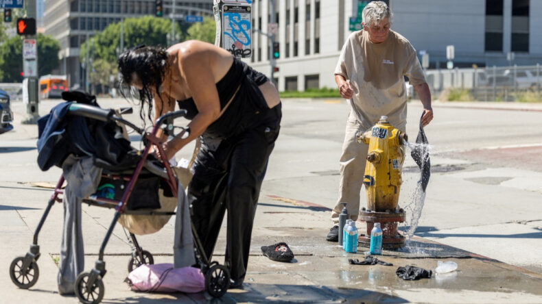 Sıcak hava dalgası, hayatta kalmayı imkansız hale getirecek