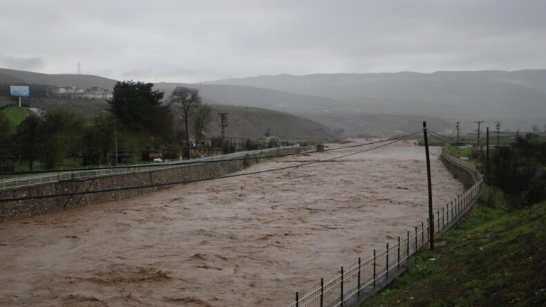 Siirt'te sel bilan&ccedil;osu: 400'e yakın hayvan &ouml;ld&uuml;