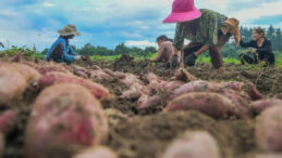 Tarihin en b&uuml;y&uuml;k k&ouml;ye d&ouml;n&uuml;ş&uuml; geliyor