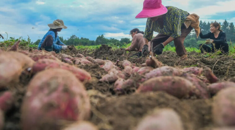 Tarihin en b&uuml;y&uuml;k k&ouml;ye d&ouml;n&uuml;ş&uuml; geliyor