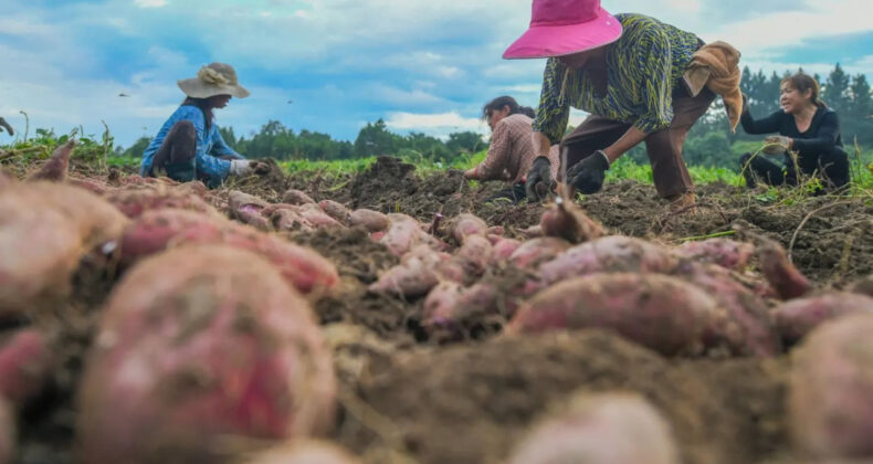 Tarihin en b&uuml;y&uuml;k k&ouml;ye d&ouml;n&uuml;ş&uuml; geliyor