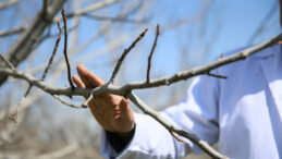 TBMM Zirai Don Komisyonu Taslak Raporu A&ccedil;ıklandı