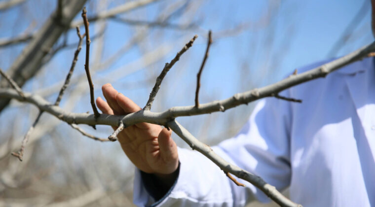 TBMM Zirai Don Komisyonu Taslak Raporu A&ccedil;ıklandı