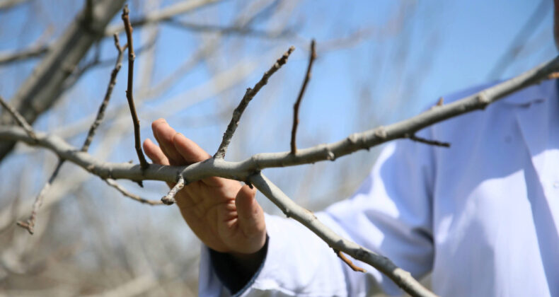 TBMM Zirai Don Komisyonu Taslak Raporu Açıklandı