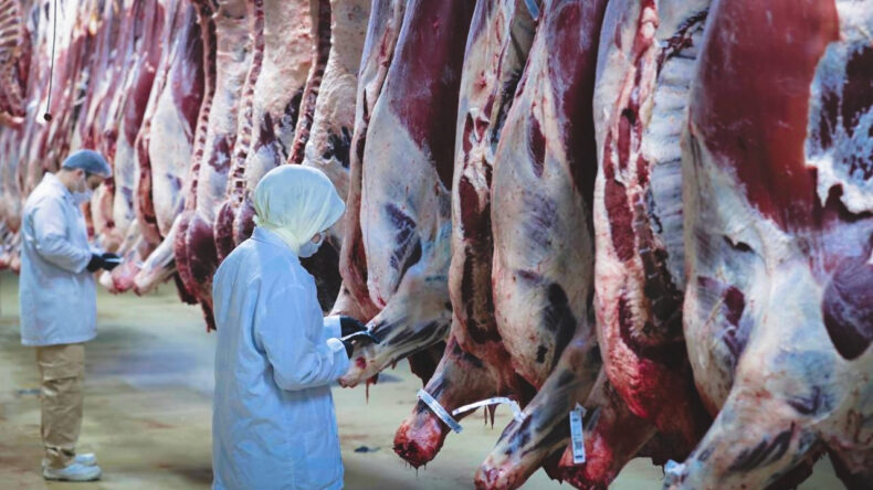 Tepki b&uuml;y&uuml;k: Ankara'daki 'iş bitiriciler' ortaya &ccedil;ıkarılsın