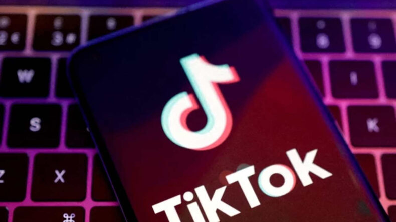 TikTok, T&uuml;rkiye'de 3 milyondan fazla videoyu kaldırdı