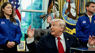 Trump, BAE&rsquo;nin OPEC kararından memnun