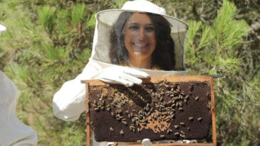 Uzmanından propolis uyarısı: &Ccedil;ocuklarda yan etkilerine dikkat