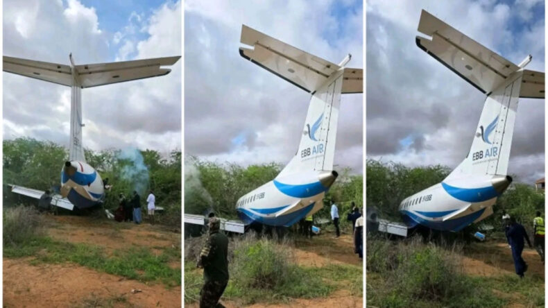 Yolcu U&ccedil;ağı Pistten &Ccedil;ıkıp &Ccedil;alılara Saplandı