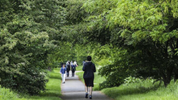 Y&uuml;r&uuml;me Hızı Yaşam S&uuml;resinin G&ouml;stergesi Olabilir