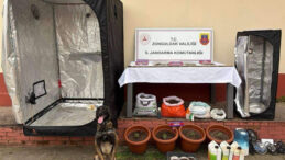 Zonguldak&rsquo;ta uyuşturucu operasyonu: 15 g&ouml;zaltı, 8 tutuklama